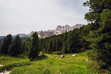 nature sceneries on the trail inside the Catinaccio mointain range, Vico di Fassa, Val di Fassa,...