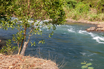 the river in the forest