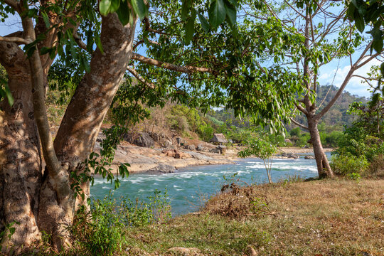 the river in the forest