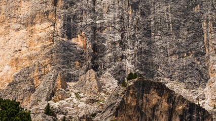 nature sceneries on the trail inside the Catinaccio mointain range, Vico di Fassa, Val di Fassa, Dolomites, Italy