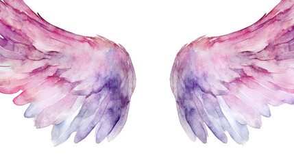 Fototapeta premium angel wings isolated on white background