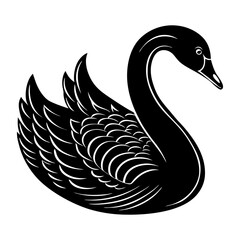  swan vector illustration