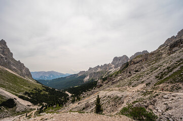 nature sceneries on the trail inside the Catinaccio mointain range, Vico di Fassa, Val di Fassa, Dolomites, Italy