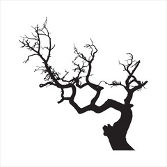 tree stands against a blank background, its bare branches reaching upwards. silhouette
