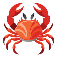 crab vector
