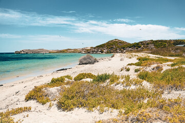 paysage plage océan côte mer falaise