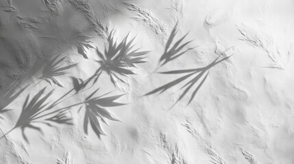 Tropical Summer Vibes: White Gray Grunge Cement Wall with Leaf Shadow and Minimal Beach Concept.