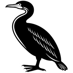 silhouette of a cormorant bird 