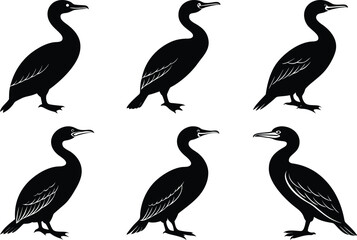 silhouette of a cormorant bird set
