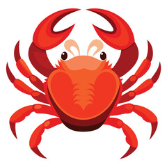 crab vector