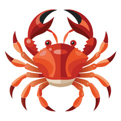 crab vector