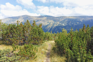 Obraz premium The Stinky Lake (Smradlivoto Lake), Rila mountain, Bulgaria