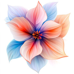 Fototapeta premium Vivid petals of a single, decorative flower, blooming in the fresh garden air, isolated in its artistic simplicity