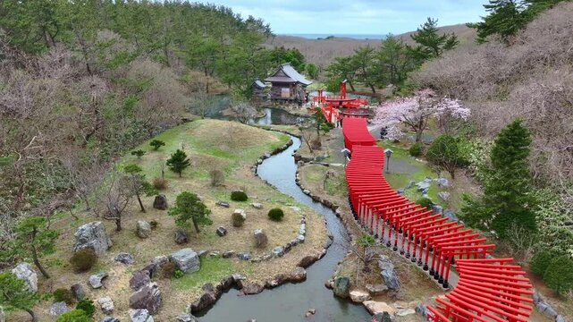 drone shot of red torii gates in Takayama Inari shrine in Tsugaru, Aomori, zen Japanese landscape in spring, Japanese culture and shinto religion