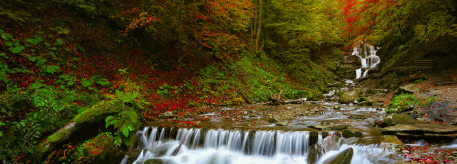 incredible Carpathian autumn view, misterious forest scene, ukrainian mountains, Transcarpathian...