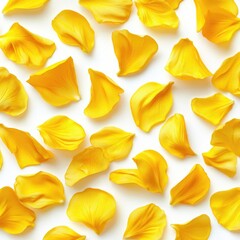 Naklejka premium Yellow Flower Petals Isolated on White Background