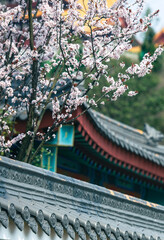 chinese temple in china