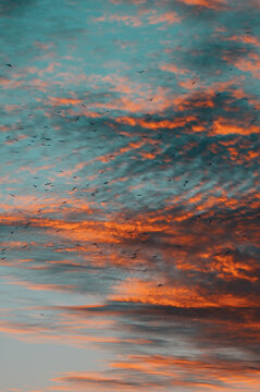 sunset over the sea