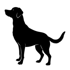 Dog black silhouette vector, Simple silhouette Design vector icon with white background.