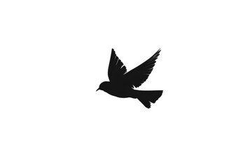 Fototapeta premium A black bird flying in the sky