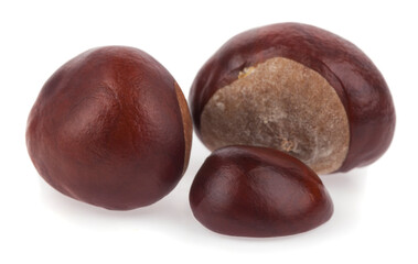 Chestnuts isolated on white background.