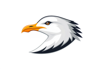 A white and black bird with an orange beak and yellow eyes