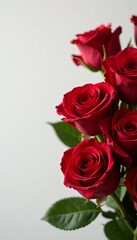 Close-up of beautiful red roses bouquet with elegant happy birthday card, close-up, card, gift
