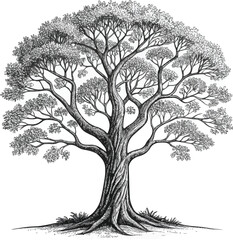 Obraz premium tree silhouette vector
