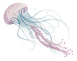 Fototapeta premium Delicate jellyfish illustration gracefully gliding in soft colors 