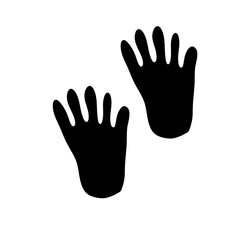 Animal tracks foot print
