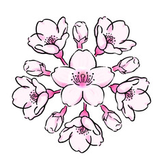 桜の花のボタニカルなイラスト-04