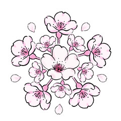 桜の花のボタニカルなイラスト-06