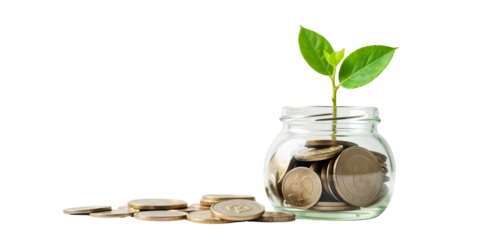 Fostering Growth A Plant Sprouting from Coins in a Jar, Symbolizing Financial Investment
