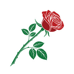 A Single Rose Speaks Volumes