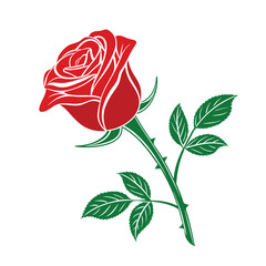 The Beauty of a Rose Vector Illustration