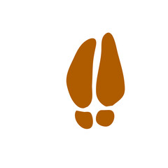 Animals footprints
