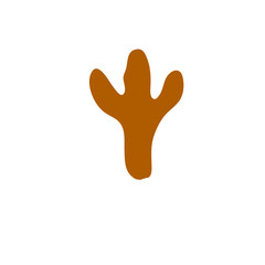 Animals footprints
