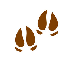 Walking track animals paw
