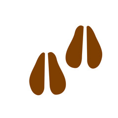 Walking track animals paw
