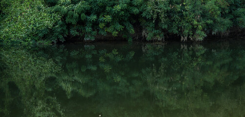 Beautiful reflection of trees in calm river water.
