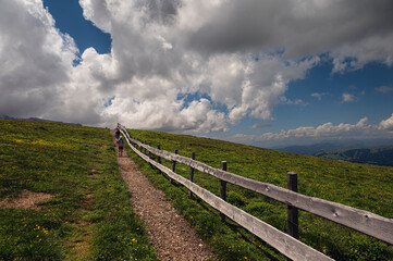 Fototapeta premium nature sceneries along the trail starting from Col Rodella and crossing Val Duron, Val di Fassa, Dolomites, Italy