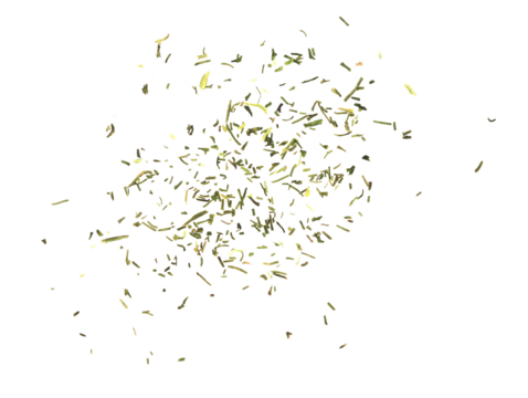 Background of dry, chopped dill isolated on a white background, top view.
