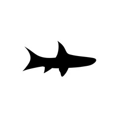 Fish sea silhouette vector
