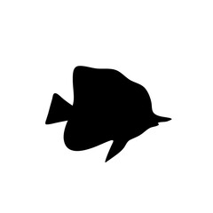 Fish sea silhouette vector
