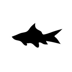 Fish sea silhouette vector
