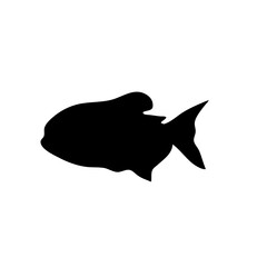 Fish sea silhouette vector
