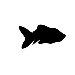 Fish sea silhouette vector
