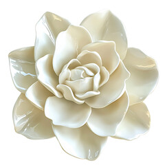 A Soft Gardenia with Waxy Glossy Petals Isolated on Transparent Background