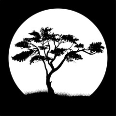 mopani tree illustration