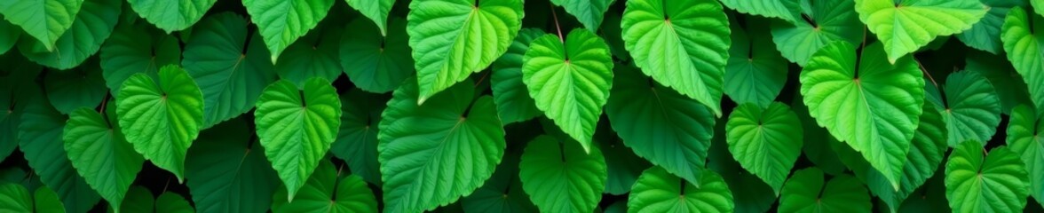Fototapeta na wymiar Lush green leaves on seamless pattern background, design, nature